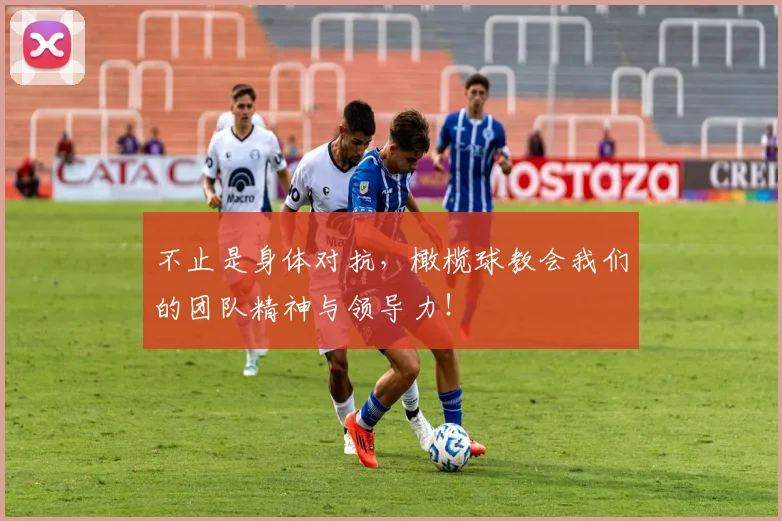 不止是身体对抗，橄榄球教会我们的团队精神与领导力！